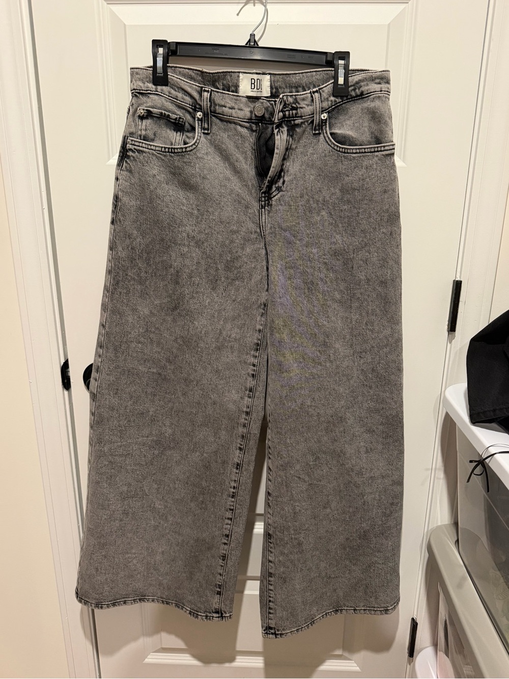 BDG Low Rise Wide Leg Jean
